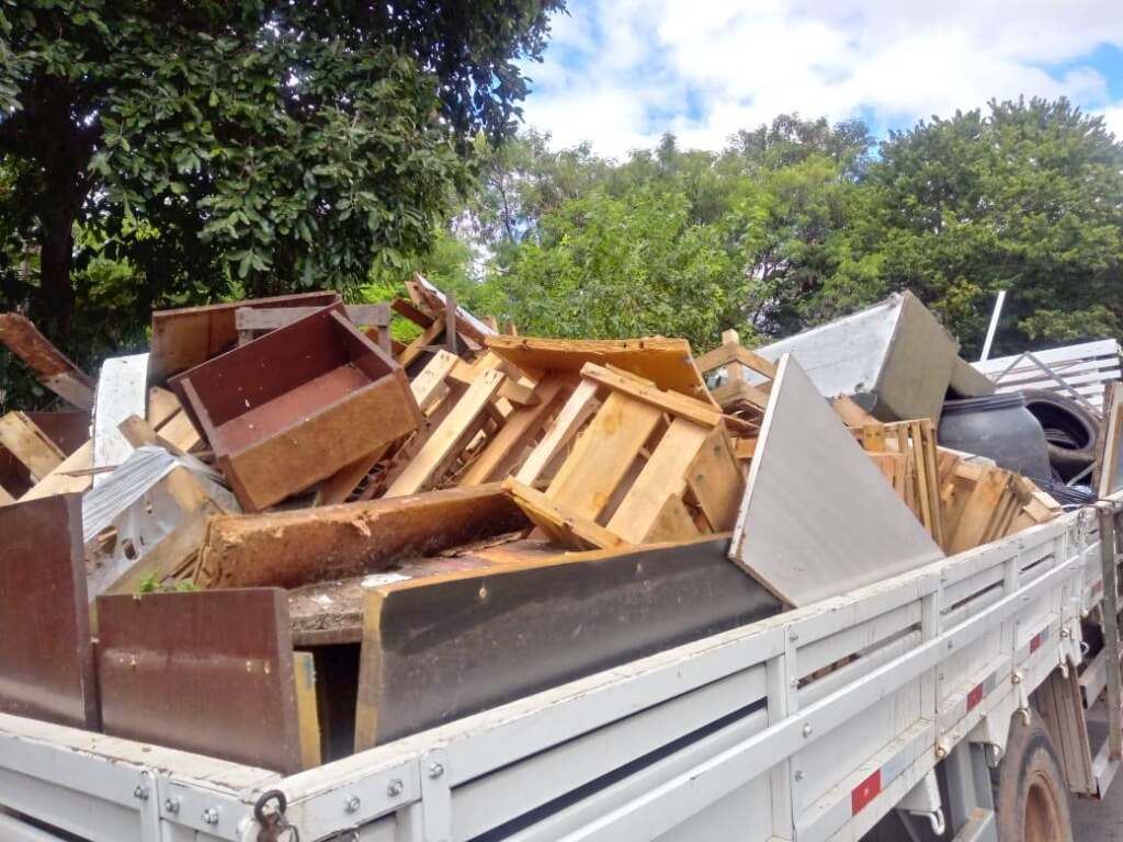 em-dois-arrastoes-mais-de-5-toneladas-de-criadouros-foram-retirados-no-santa-luiza-jno