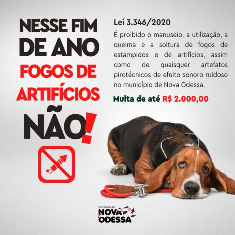 nova-odessa-reforca-proibicao-de-fogos-ruidosos-por-respeito-a-pets-idosos-e-criancas-especiais-jno