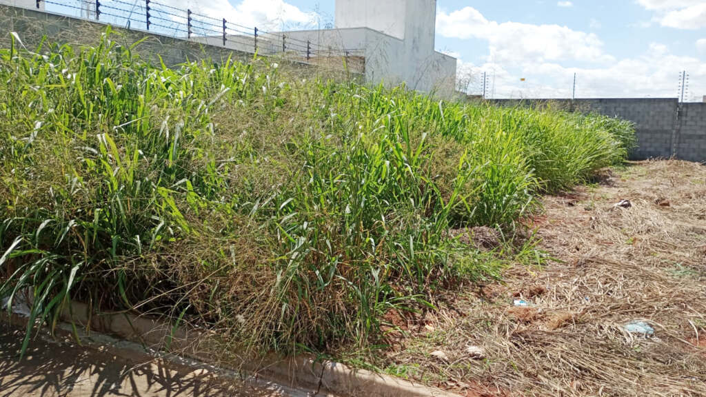 sujeira-e-lixo-em-terrenos-no-jardim-dos-lagos-2-causam-revolta-em-moradores-jno