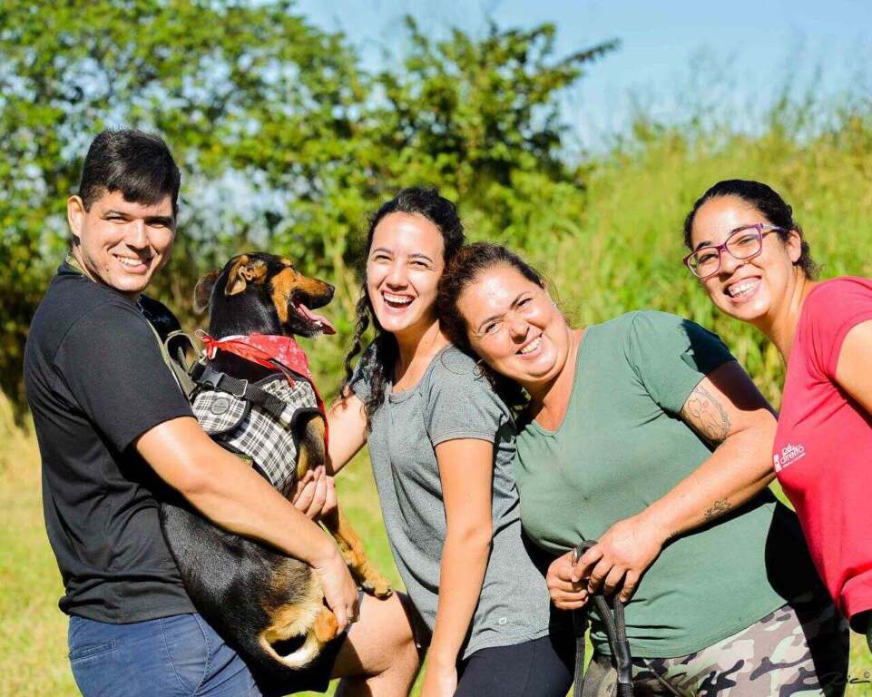 aaano-abre-inscricoes-para-novos-voluntarios-jno