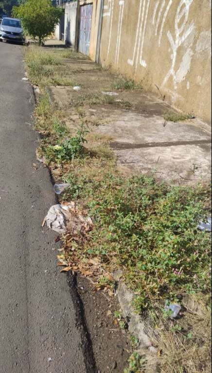 moradores-do-jd-florida-em-nova-odessa-reclamam-de-mato-alto-em-calcada-jno