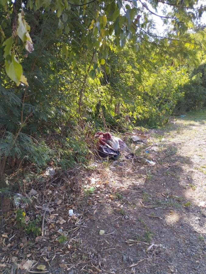 nova-odessa-tem-novo-lixao-clandestino-em-frente-ao-parque-ecologico-jno